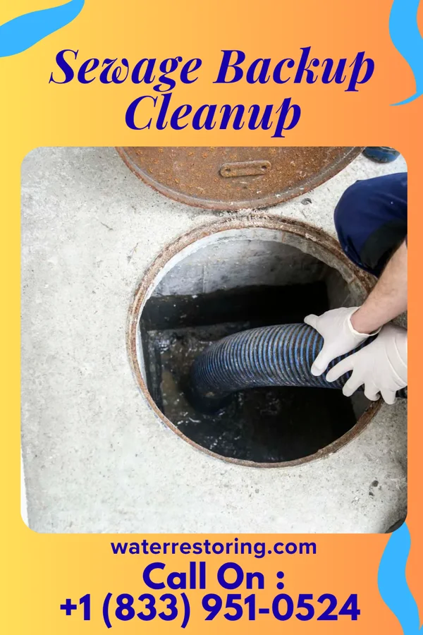 Sewage Backup Cleanup in Lexington, VA